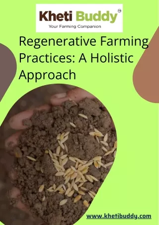 Regenerative Farming Practices A Holistic Approach