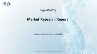 Global Organ On Chip Market Size & Growth Outlook 2024-2030