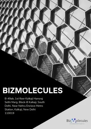 Bizmolecules HR recruiting services