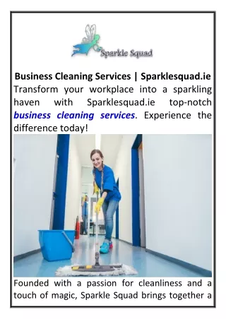 Business Cleaning Services Sparklesquad.ie