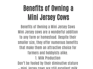 Benefits of Owning a Mini Jersey Cows with microminihighlandcow.com