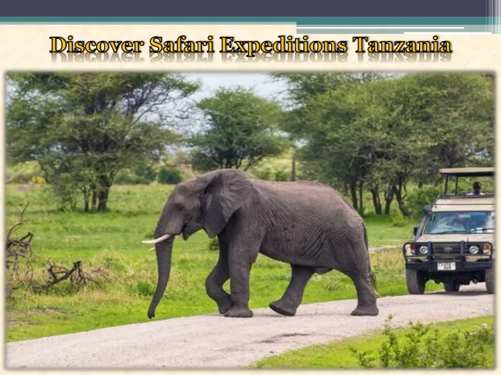 discover safari expeditions tanzania