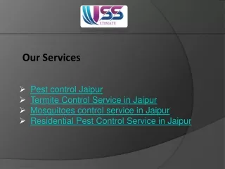 Residential Pest Control Service in Jaipur