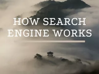 How search engine works