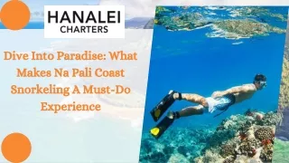 Dive Into Paradise What Makes Na Pali Coast Snorkeling A Must-Do Experience