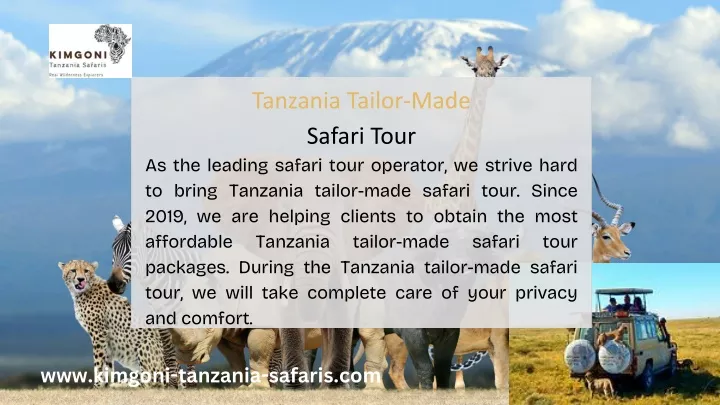 tanzania tailor made safari tour
