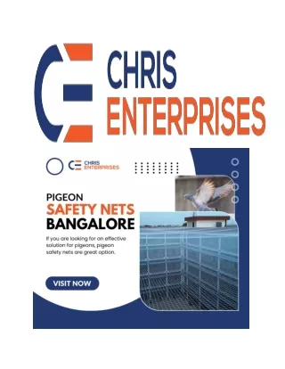 pigeon safety nets  in bangalore
