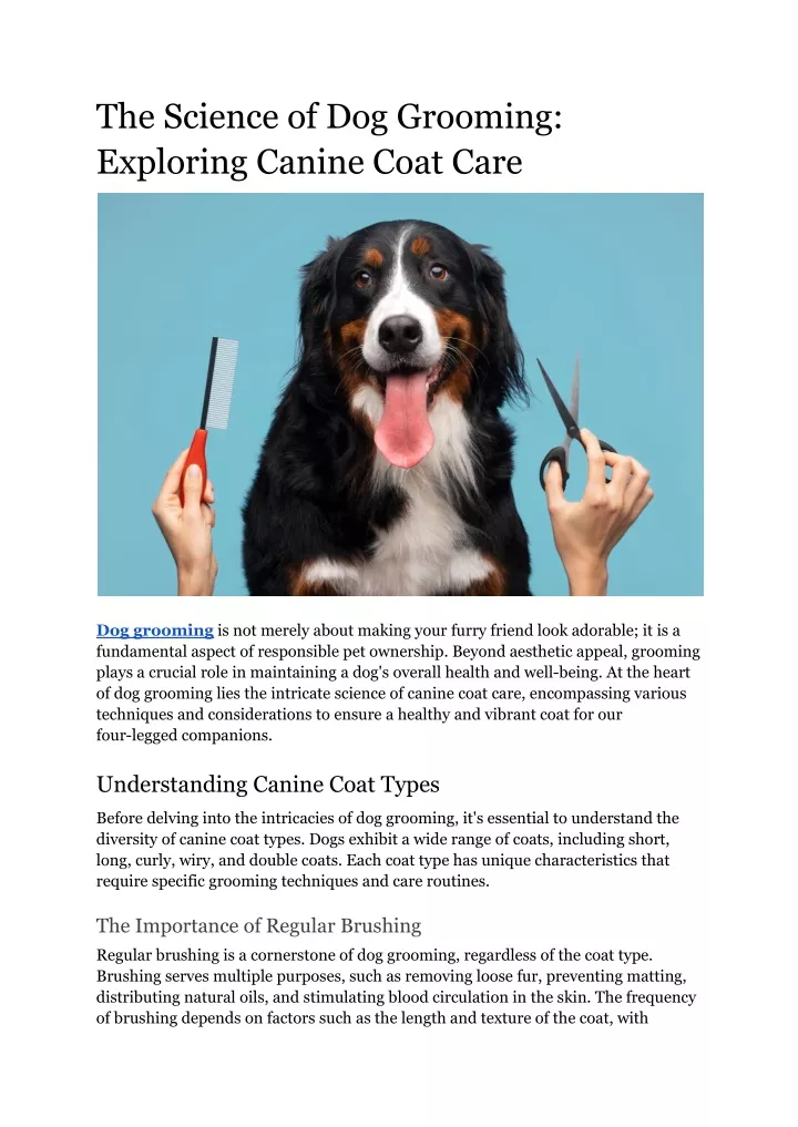 the science of dog grooming exploring canine coat
