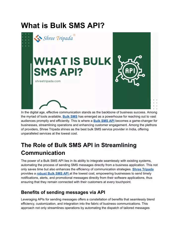 what is bulk sms api