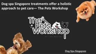 Dog spa Singapore treatments offer a holistic approach to pet care— The Pets Workshop