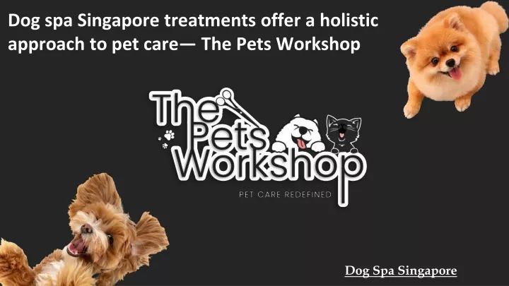 dog spa singapore treatments offer a holistic approach to pet care the pets workshop