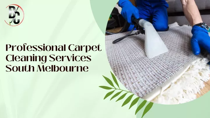 professional carpet cleaning services south