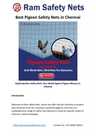 Best Pigeon Safety Nets in Chennai