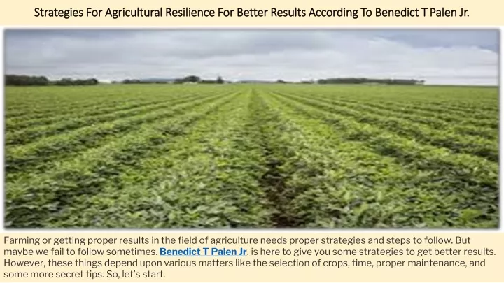 strategies for agricultural resilience for better results according to benedict t palen jr