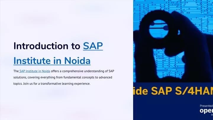introduction to sap institute in noida