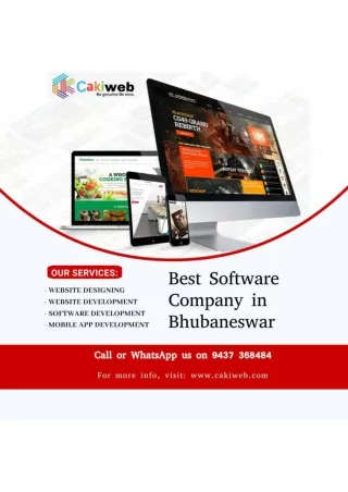 Best Software Company in bhubaneswar