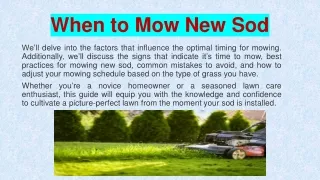 When to Mow New Sod - Ace Landscapes
