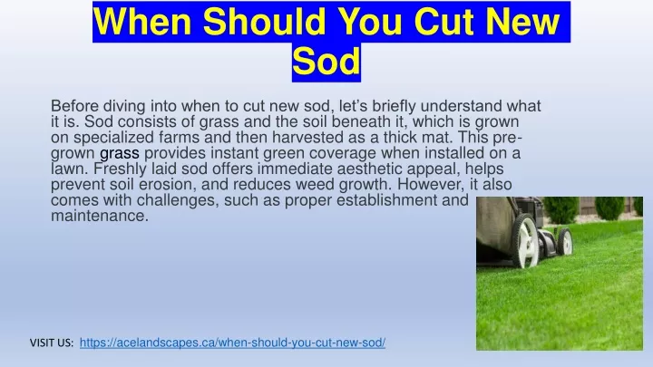 when should you cut new sod