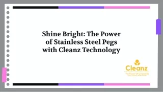 shine-bright-the-power-of-stainless-steel-pegs-with-cleanz-technology