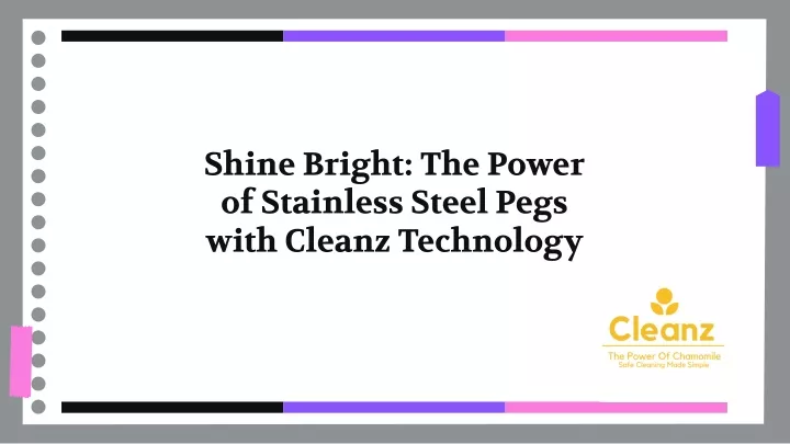 shine bright the power of stainless steel pegs