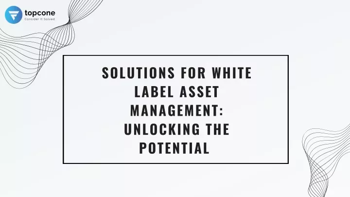 solutions for white label asset management