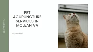 Pet Acupuncture Services in McLean VA
