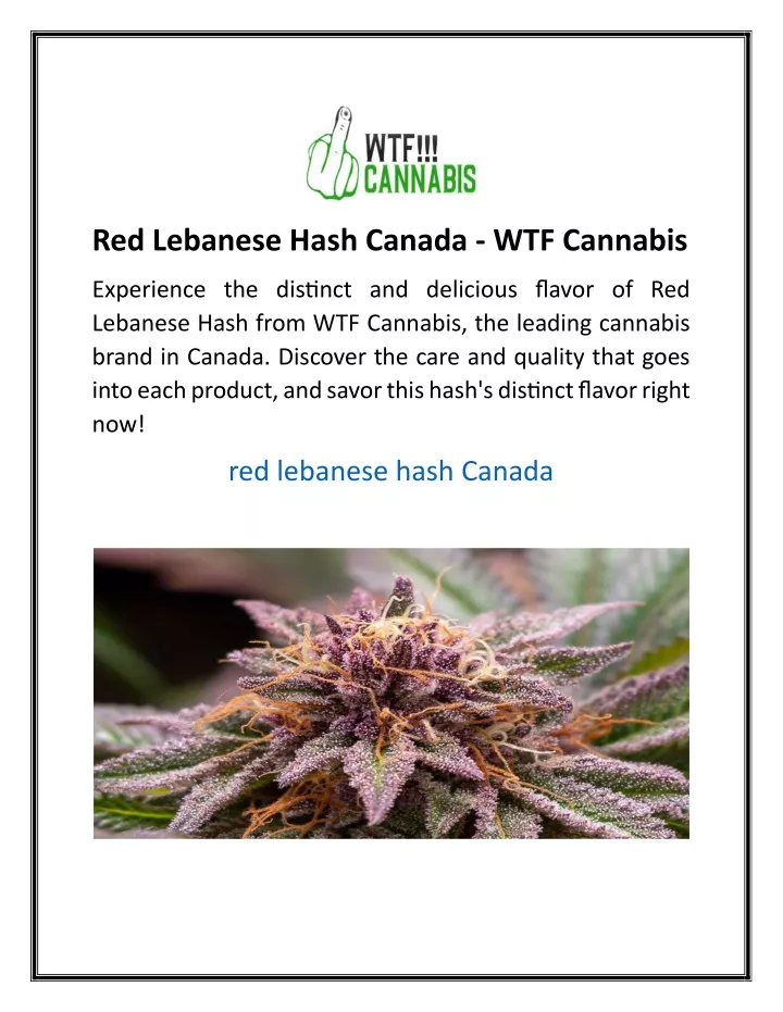 red lebanese hash canada wtf cannabis