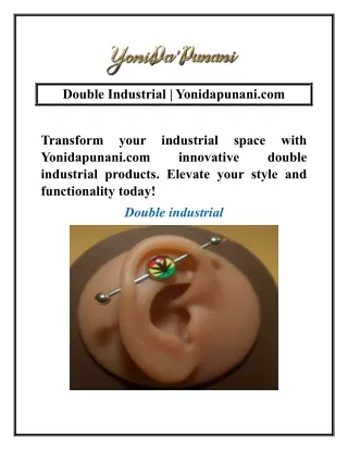 Double Industrial | Yonidapunani.com