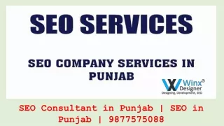 SEO Consultant in Punjab