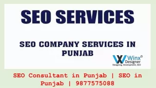 SEO Consultant Punjab