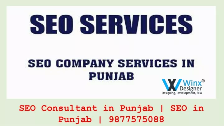 seo consultant in punjab seo in punjab 9877575088