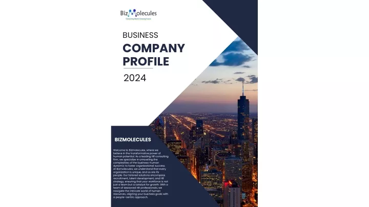business company profile