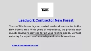 Leadwork Contractor New Forest