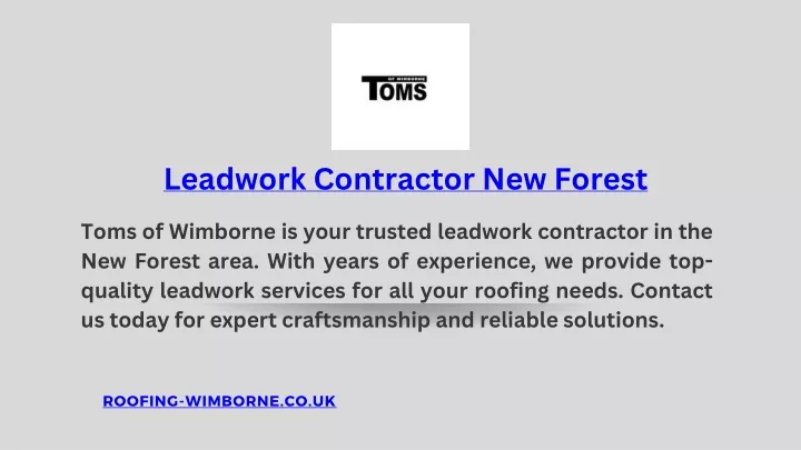 leadwork contractor new forest