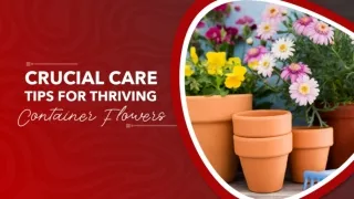 Blooming Garden Container Flower Services