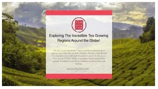 Exploring The Incredible Tea Growing Regions Around the Globe.
