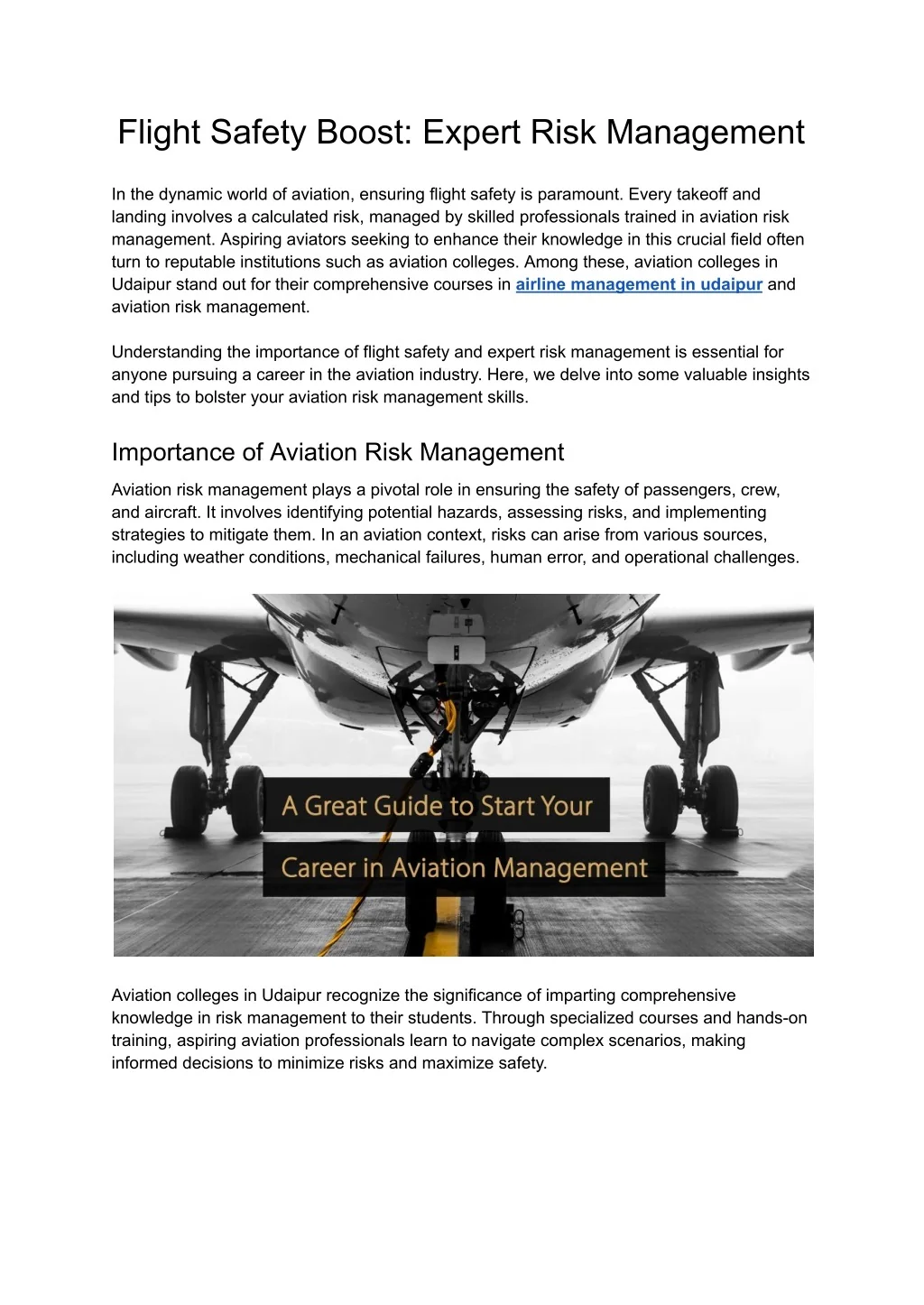 Warning Flight Risk PPT - Flight Safety Boost_ Expert Risk Management PowerPoint ...