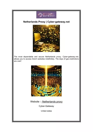 Netherlands Proxy  Cyber-gateway.net