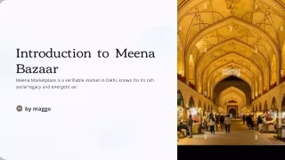 Introduction to Meena Bazaar
