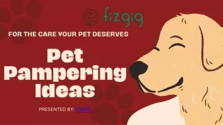 Fizgig Unique Pet Pampering Ideas to Spoil Your Furry Friend