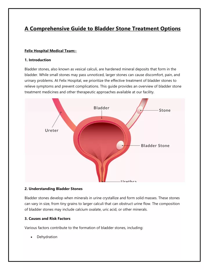 a comprehensive guide to bladder stone treatment