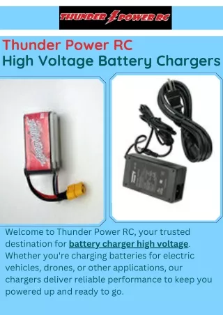 Buy Precision-Powered High Voltage Battery Charger