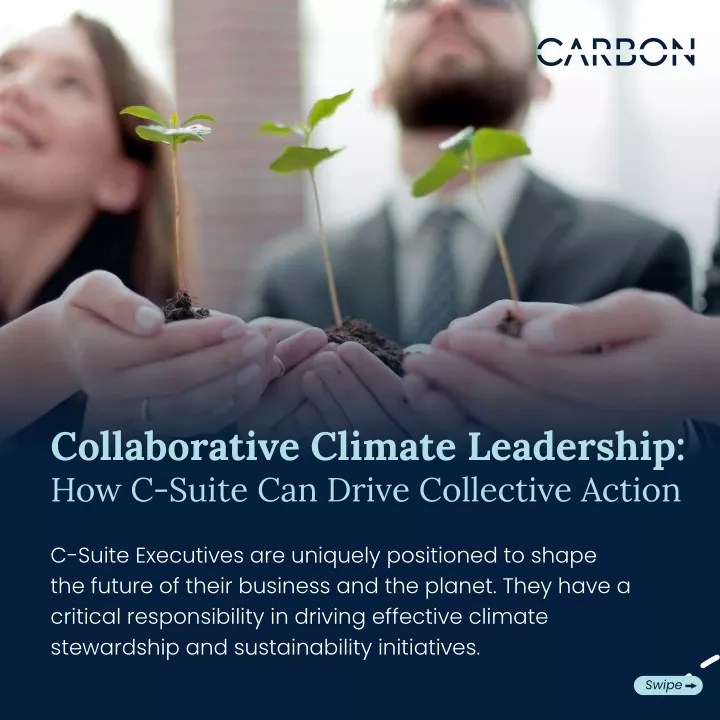 collaborative climate leadership how c suite