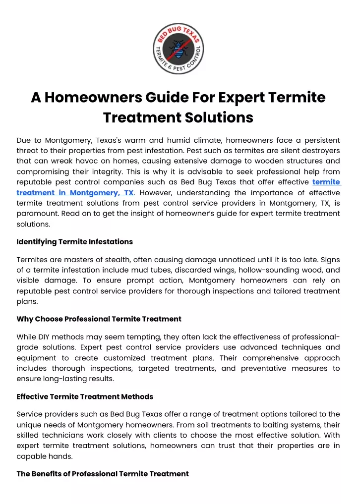 a homeowners guide for expert termite treatment