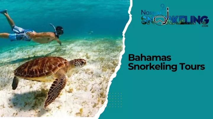 bahamas snorkeling tours
