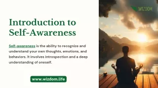 Introduction to Self-Awareness | Wizdom LLC
