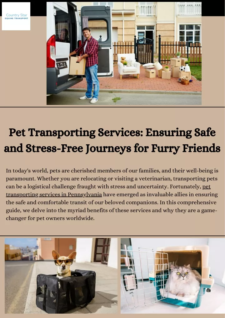 pet transporting services ensuring safe