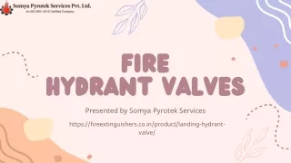 Fire Hydrant Valves from Somya Pyrotek Services