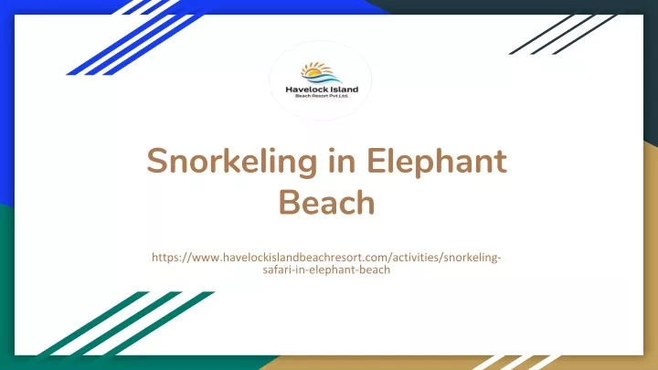 snorkeling in elephant beach