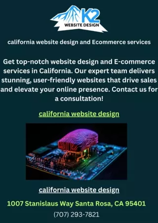 california website design and Ecommerce services